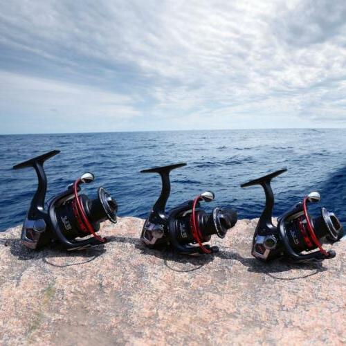 13+1BB Reel for...